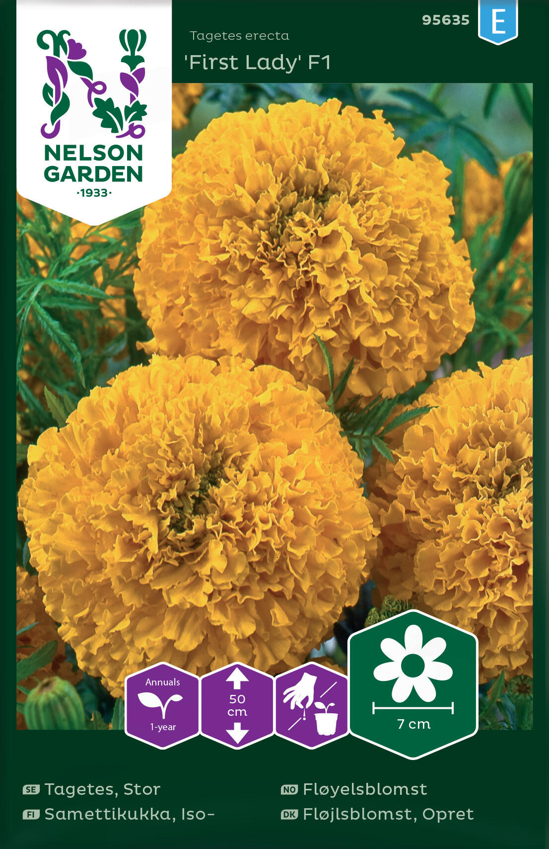 Sammetsblomma, Stor 'First Lady' F1